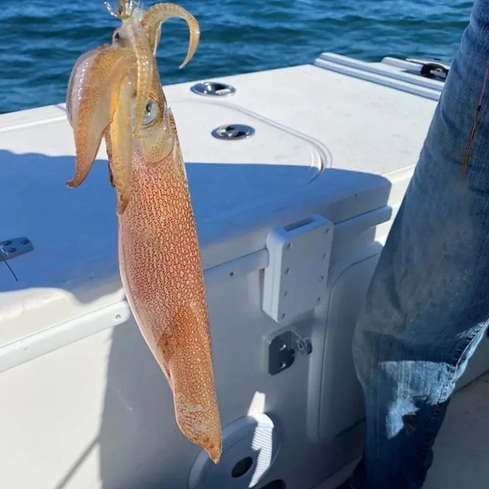 20 unidades de iscas luminosas - Saltwater Fishing Hook avaliação e preço